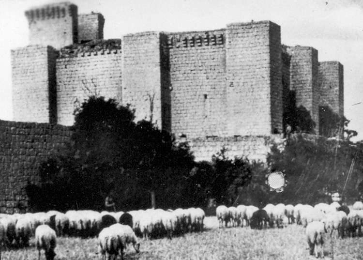 Fundación_Joaquín_Díaz_-_Castillo_-_Villalba_de_los_Alcores_(Valladolid)_(4)